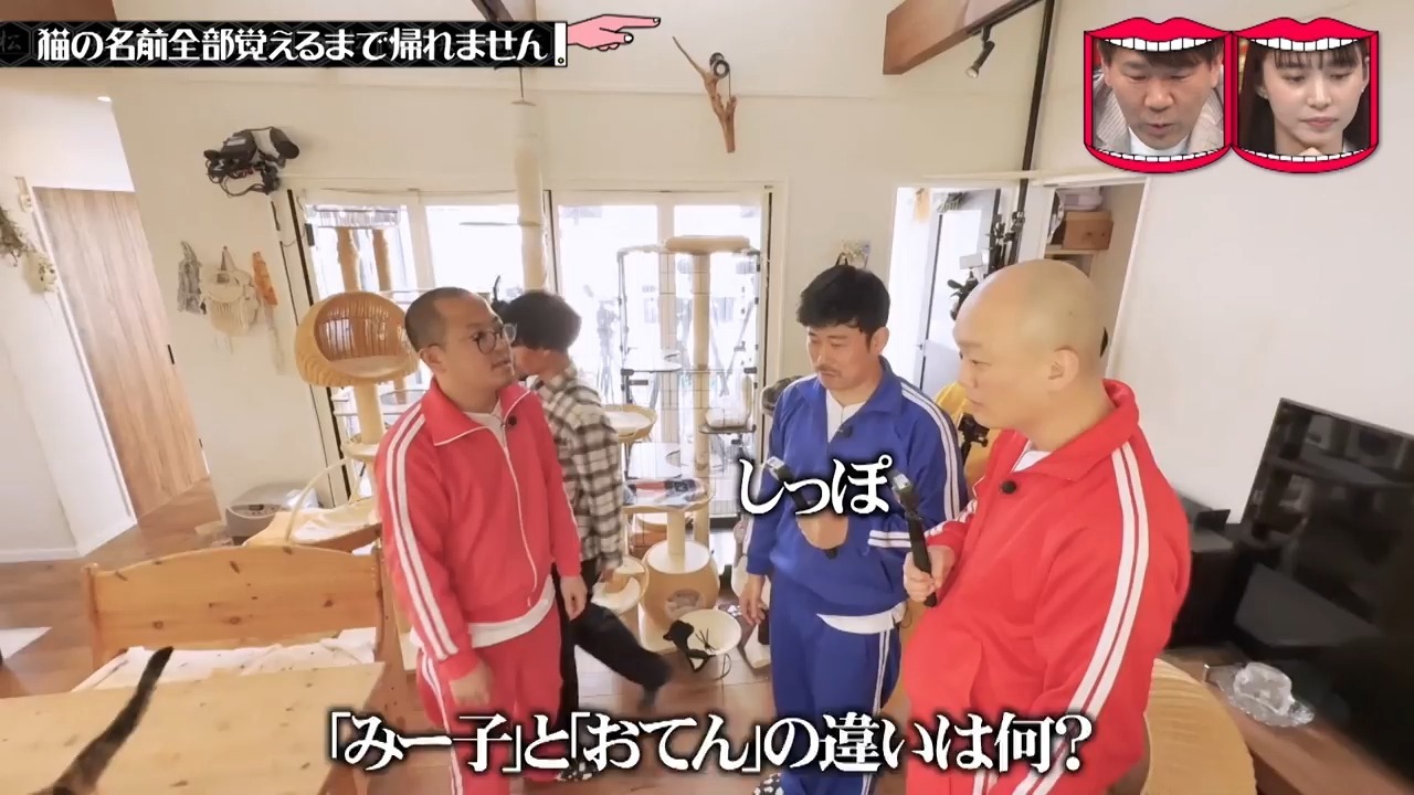 字幕下载