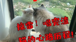 2f048375bcb9434cf3e3e62eff15d2f7f70b08af.jpg@310w_174h_1c_100q.jpg
