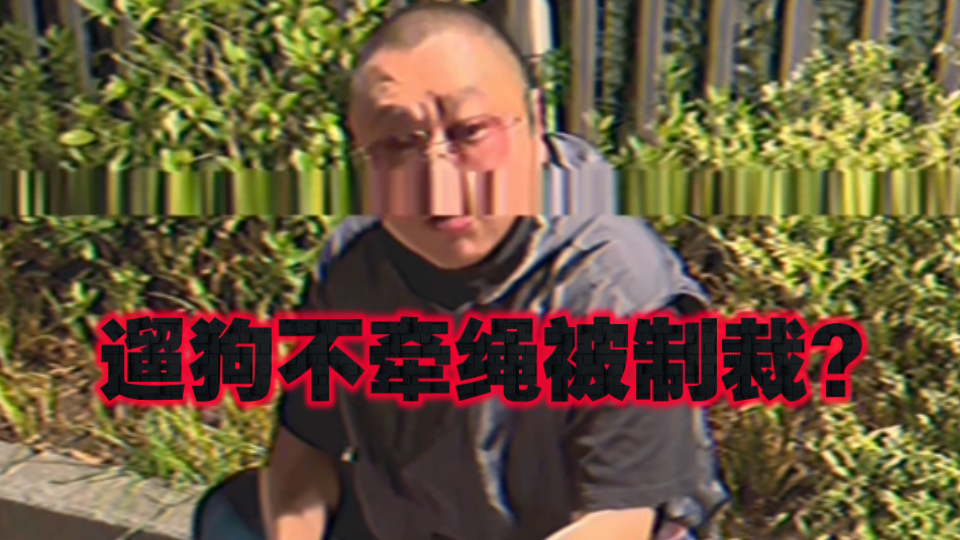 艺能人金广发