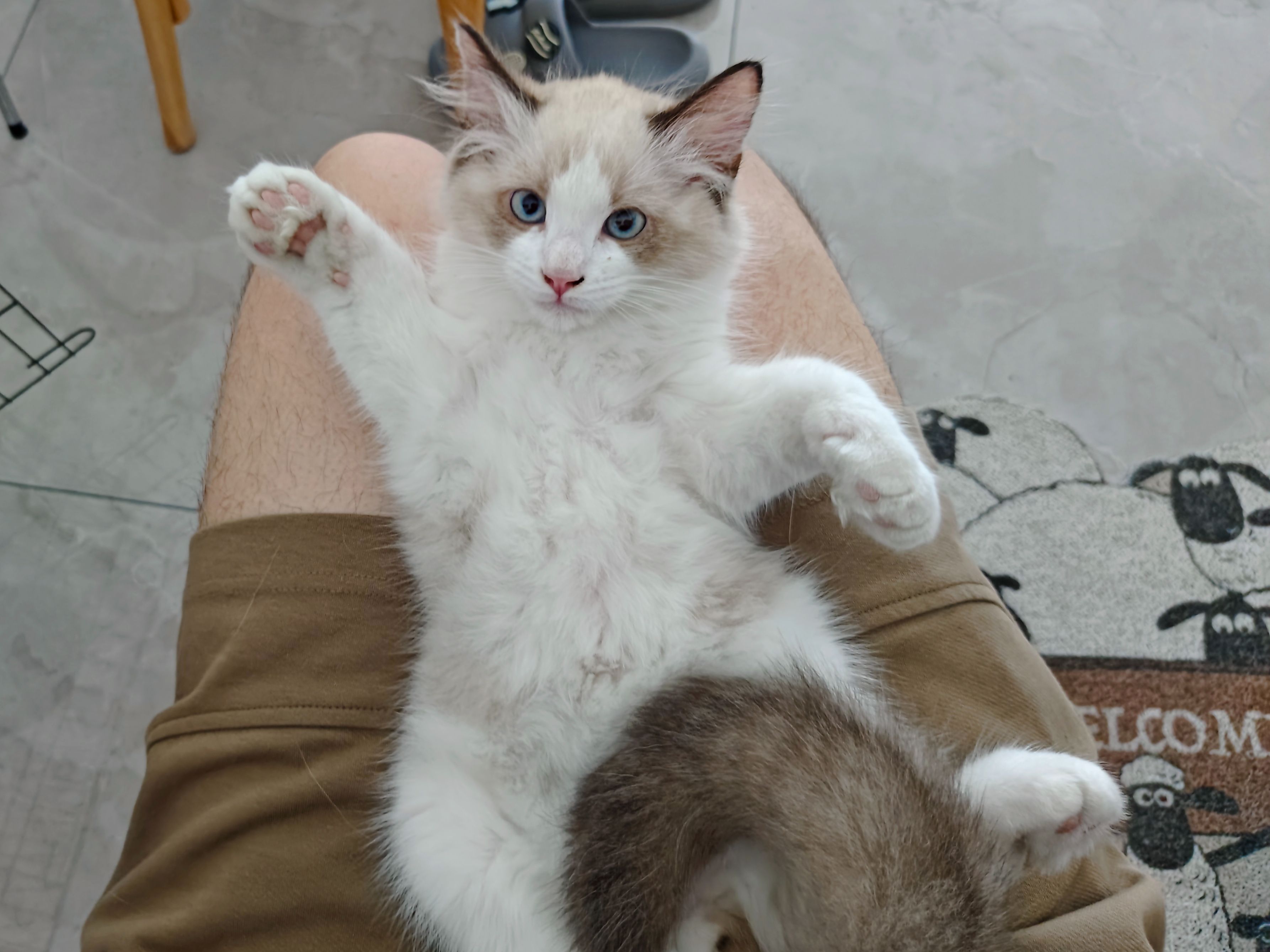 第一天（基础理论知识）