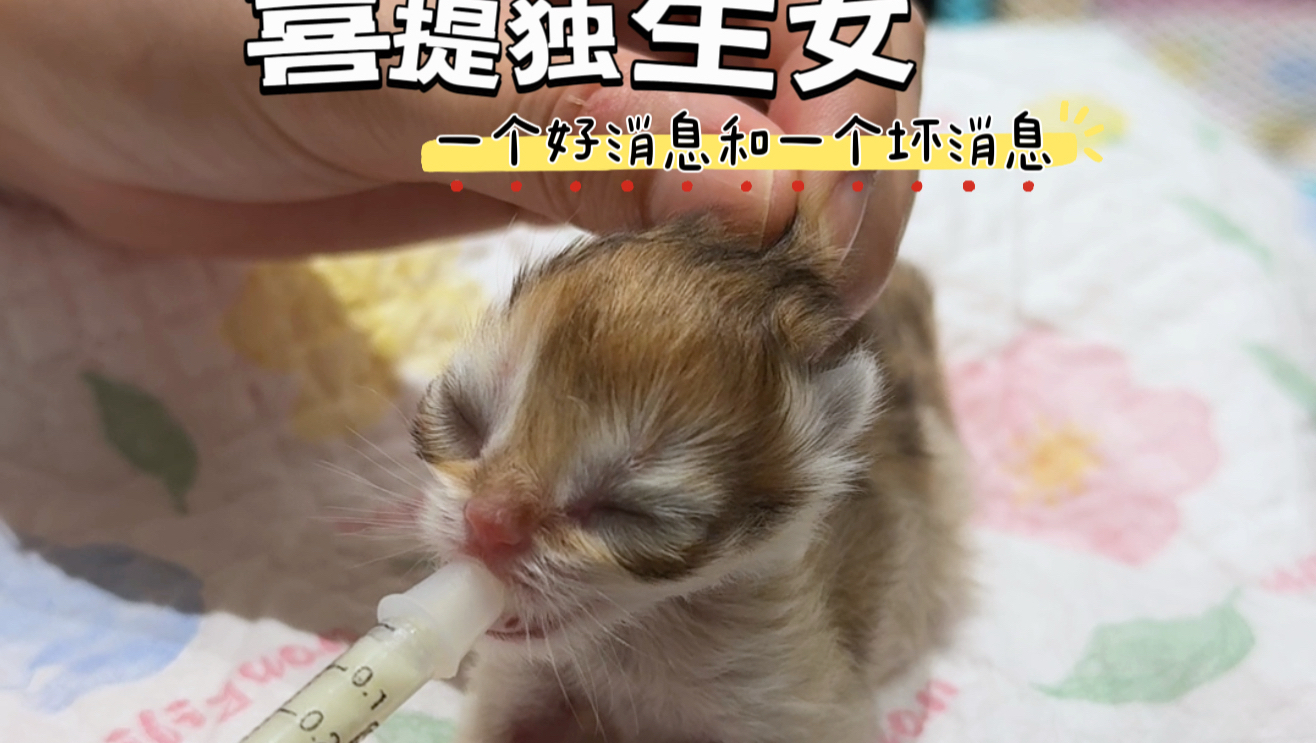 有一个好消息一个坏消息