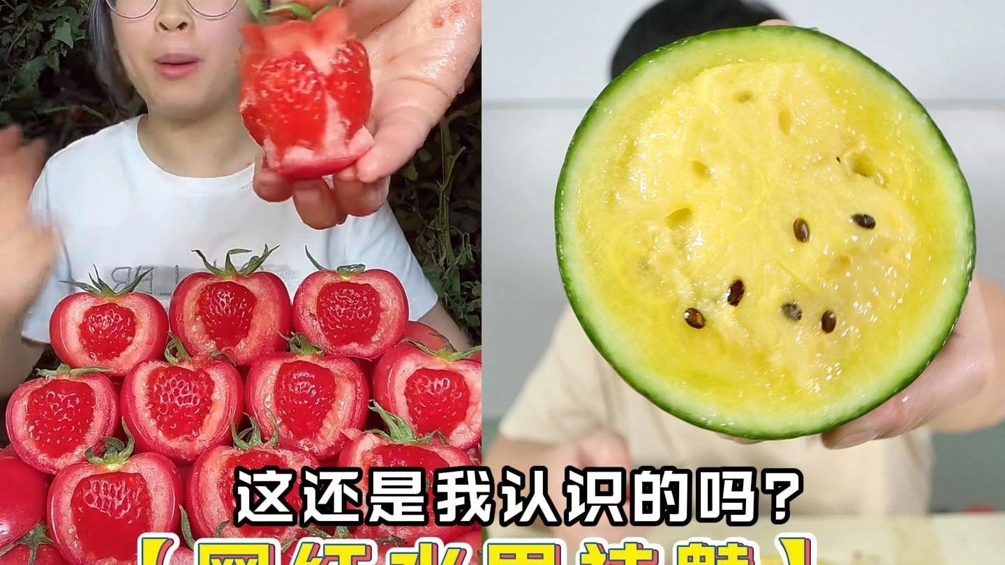 冰激凌西瓜？这还是我吃得起的水果吗？沙漠人参果！普罗旺斯西红柿