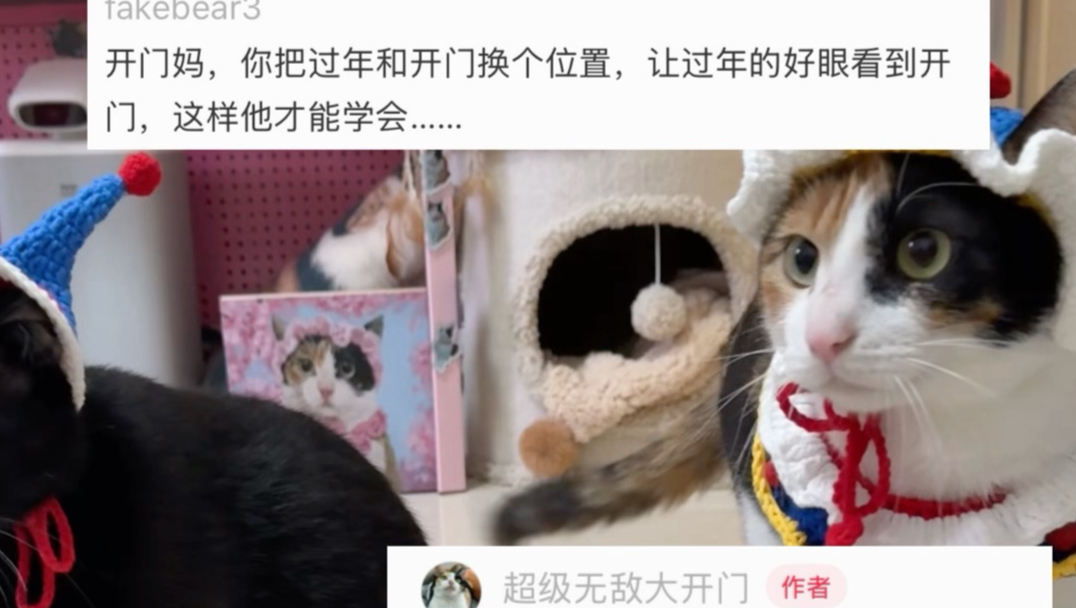 秩序感很强是这样的