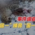 “国一”捕食“国一”事件调查：东北豹在“家中”被害