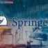 关于施普林格   About Springer