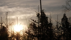 2f9a93a8ab8c58a6b000c275648fb10ad1a3b9e0.jpg@280w_158h_1c_100q.jpg