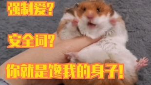 2fb12920c533c1055db7af4021b18ca0eb960f54.jpg@310w_174h_1c_100q.jpg