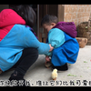 小姐姐掳回2只小鸡，1岁多弟弟各种蹂躏，急坏了一旁的姐姐