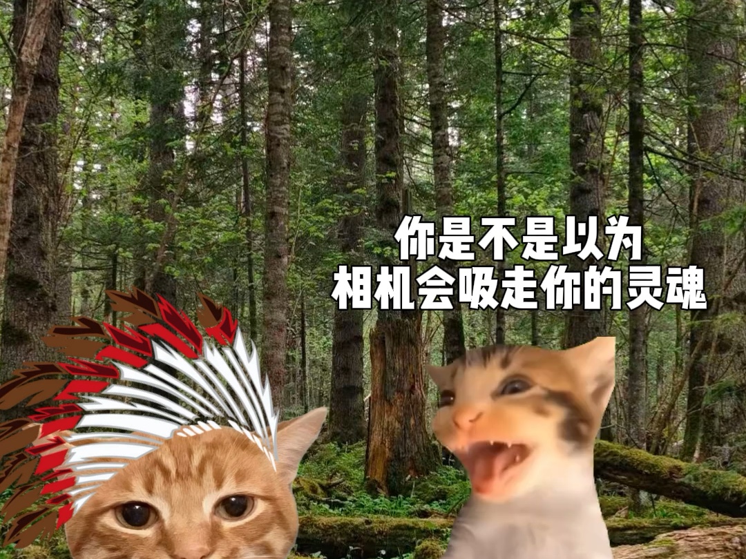 土著人：我是土著不像你是个土鳖 #猫meme#搞笑 #内容过于真实 #反转#万万想不到