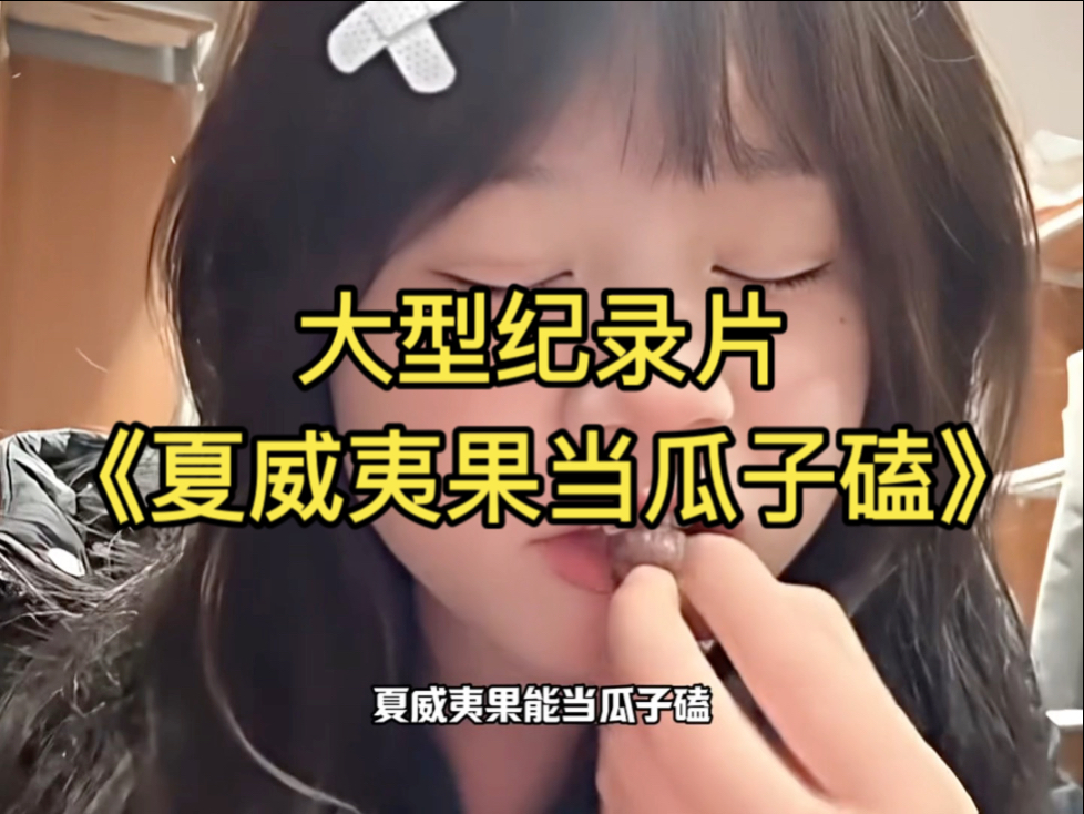 大型纪录片《夏威夷果当瓜子磕》持续为您播出！