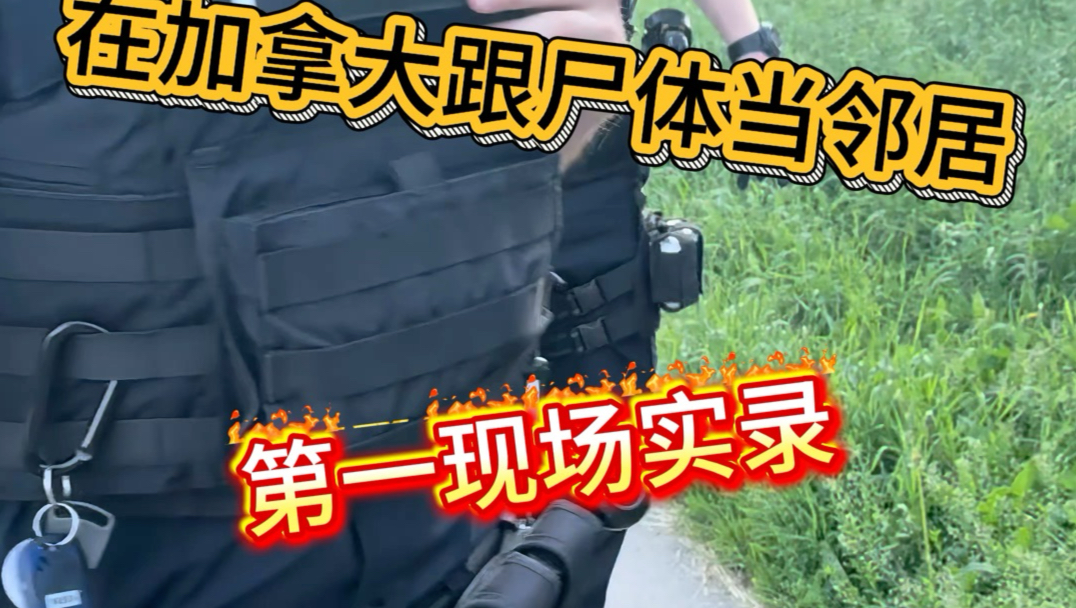 我的加拿大邻居是尸体，第一现场目击实录