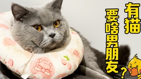 2fdfadf623c215e1ac250207c30f705905d9cc92.jpg@280w_158h_1c_100q.jpg