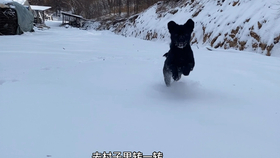300605c58aa7314f302966c11ae475ec1ae29aae.jpg@280w_158h_1c_100q.jpg