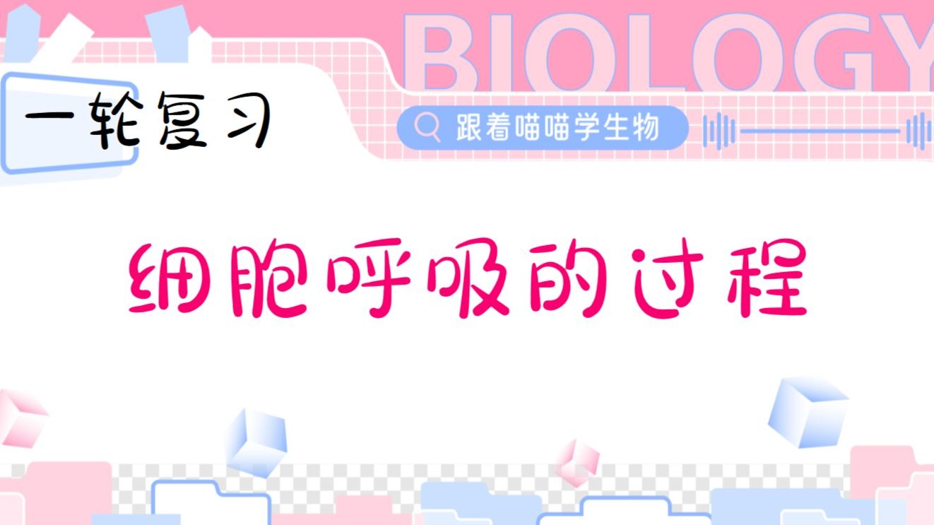 呼吸作用过程【一轮复习】
