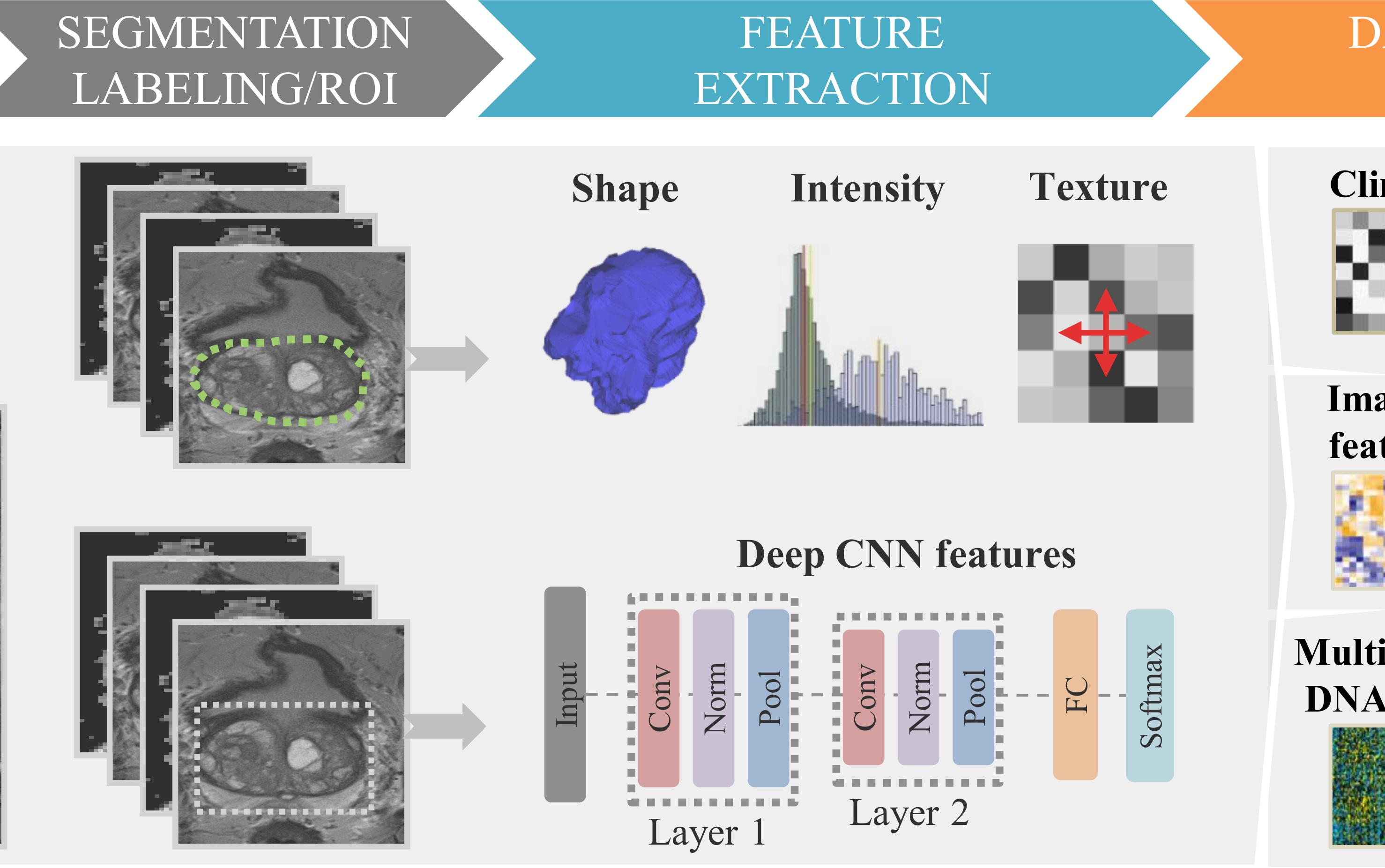 影像组学之radiomics提取特征的意义(3)