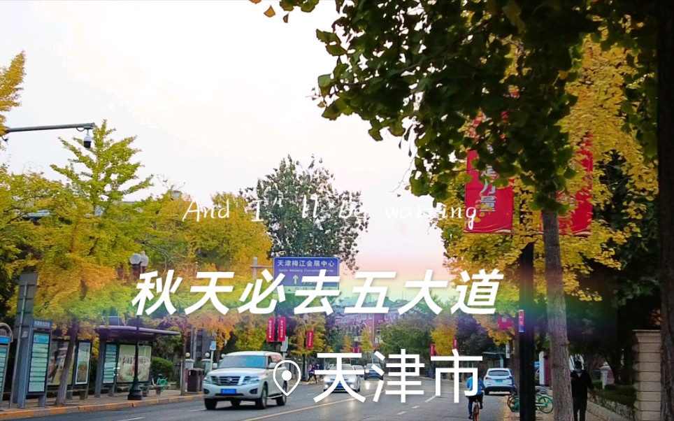 天津秋天必去五大道
