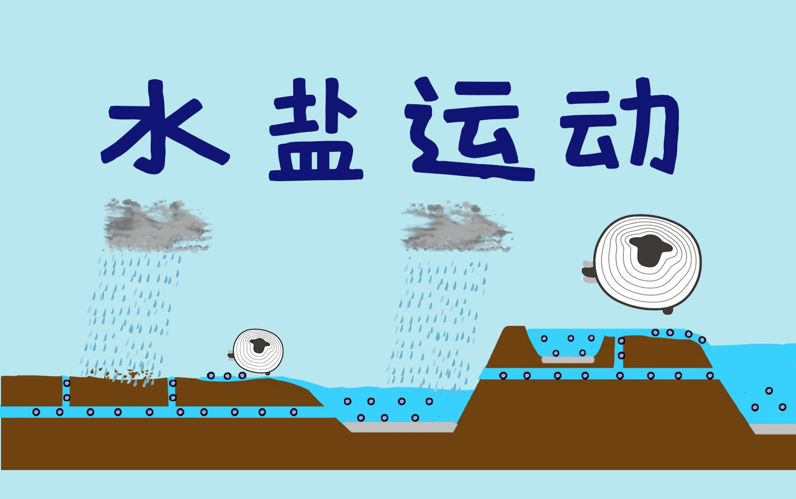 5分钟，搞懂水盐运动~【羊羊地理 | 手绘动画89】