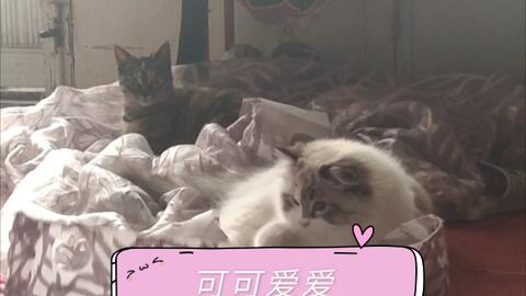 301d3122d6d2e0a03efedd2f5afad14c708f013d.jpg@480w_270h_1c