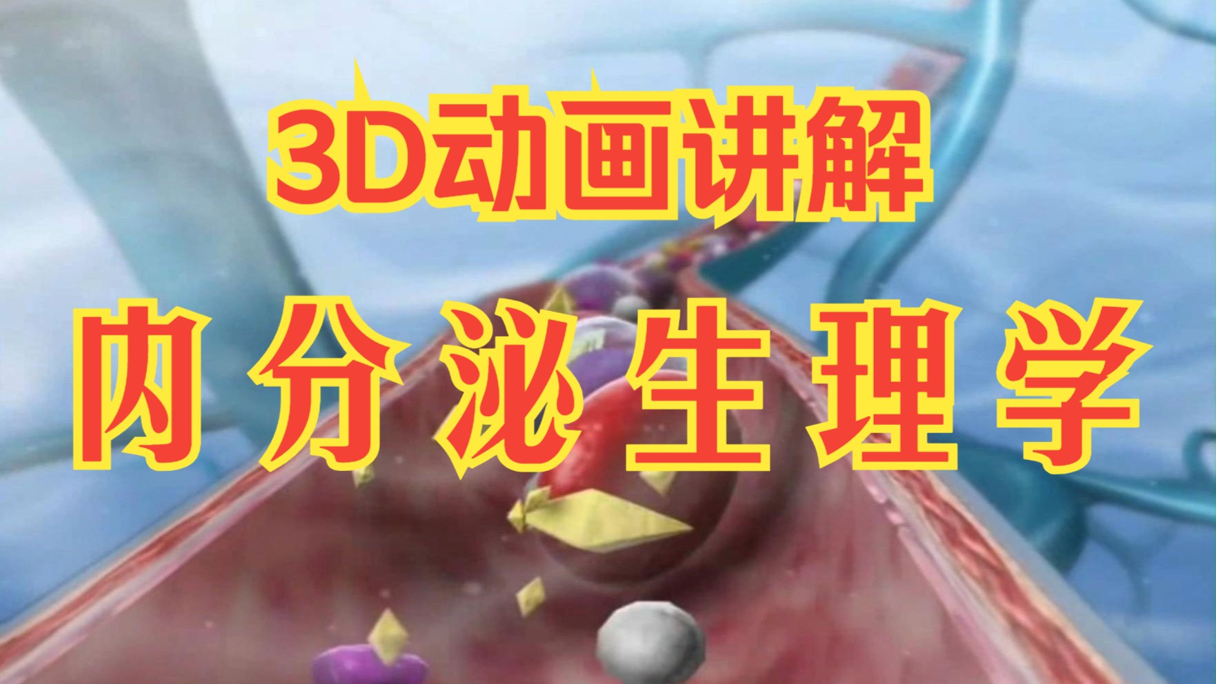 9.内分泌系统生理学-内分泌系统讲解-内分泌系统解剖生理-医学科普动画视频