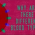【Ted-ED】为什么血型如此重要 Why Do Blood Types Matter