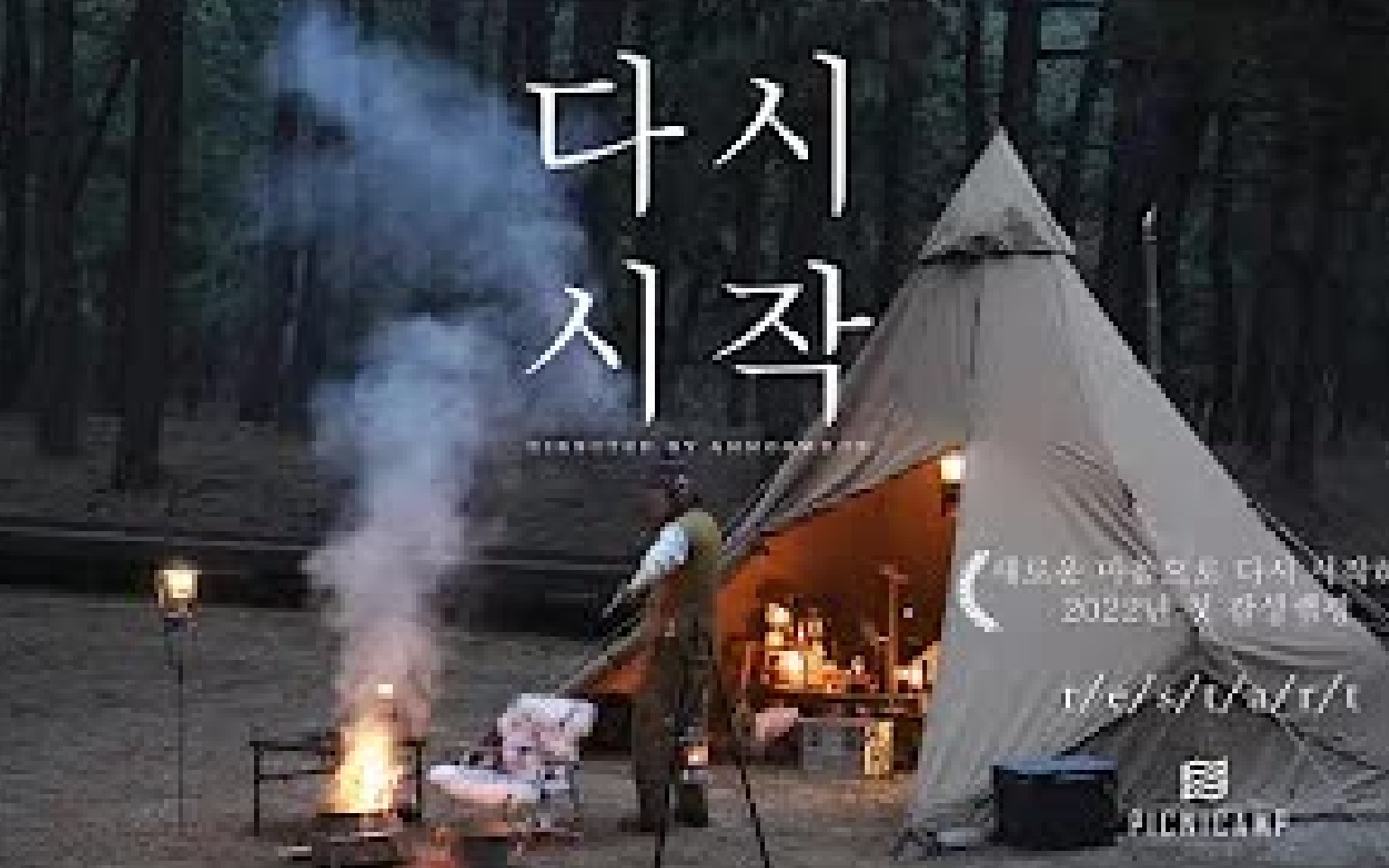 【solo camping】森林营地露营，燃起的火炉引来了一群小猫，帐篷内的温暖度过了一夜。