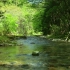 【大自然的宝藏·4K画质】鸟语花香村边河流缓缓溪流吸氧15分钟 2026 x 3840