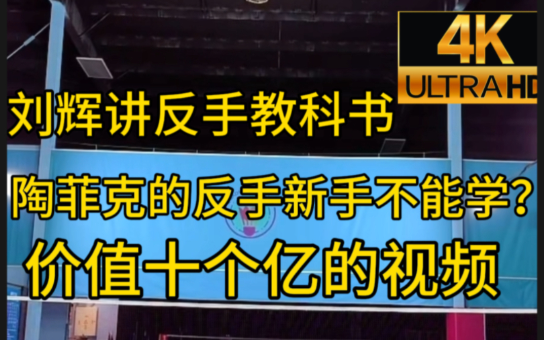 刘辉讲陶菲克的反手，反手过渡中高级球友技术提升系列（价值十个亿的教学
