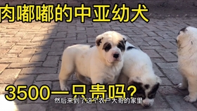30ab105faf8c29e2fa5d37b19e2343d703699f64.jpg@280w_158h_1c_100q.jpg