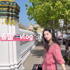 2024/12 泰国八日游vlog 曼谷-芭提雅-清迈-清莱