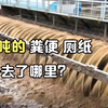 你拉的屎都去了哪里？卫生纸能不能丢进马桶？3分钟看懂污水处理