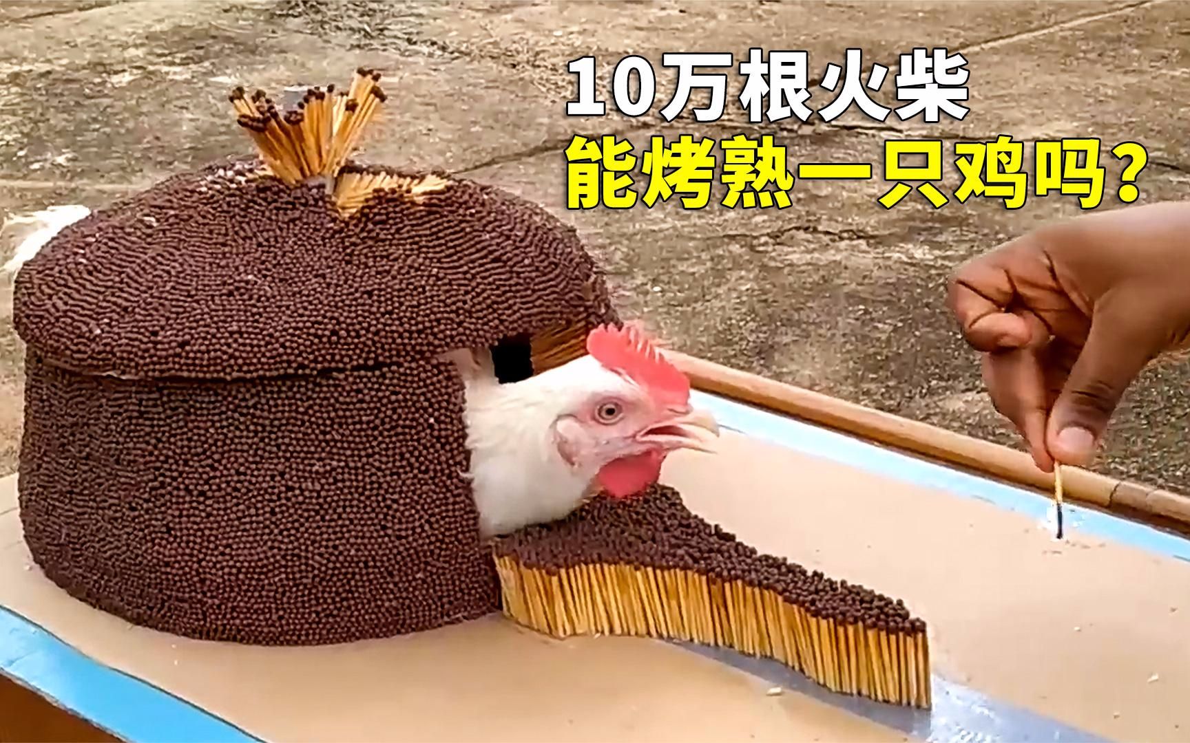 趣味实验！点燃10万根火柴，你觉得能烤熟一只鸡吗？