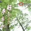 『高糊の感动』儿童歌曲 ～ 好小子，乖乖女 少儿节目 《男孩女孩》主题歌