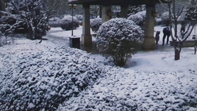 30d5ada970ab8f35a7c93d8dd7d39d2321ac0fd9.jpg@280w_158h_1c_100q.jpg