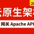 B站讲的最好的云原生API网关 Apache APISIX实战教程全集（2023最新版）