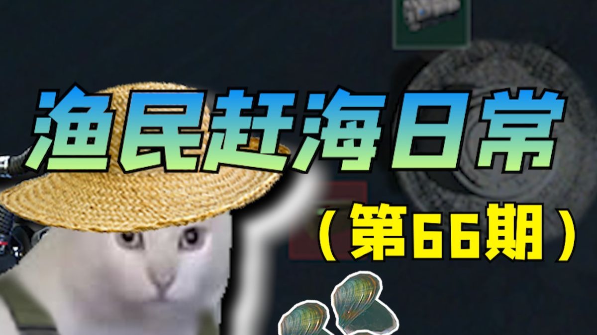 渔民赶海都能摸着啥好货（66）