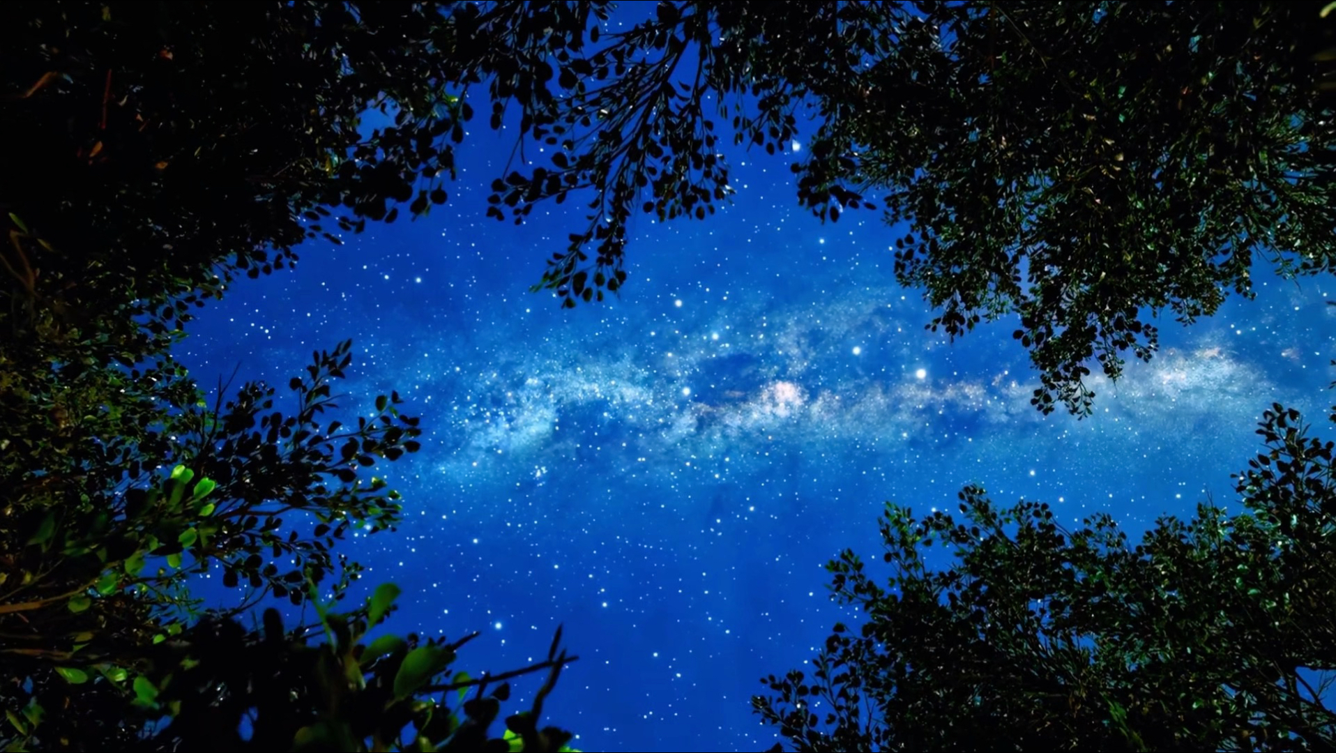 “原来梵高的星空不只是想象，而是真实存在的！”