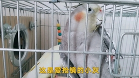 30e81f1e9f9e6edc8b656386ee871c26493d14cc.jpg@280w_158h_1c_100q.jpg