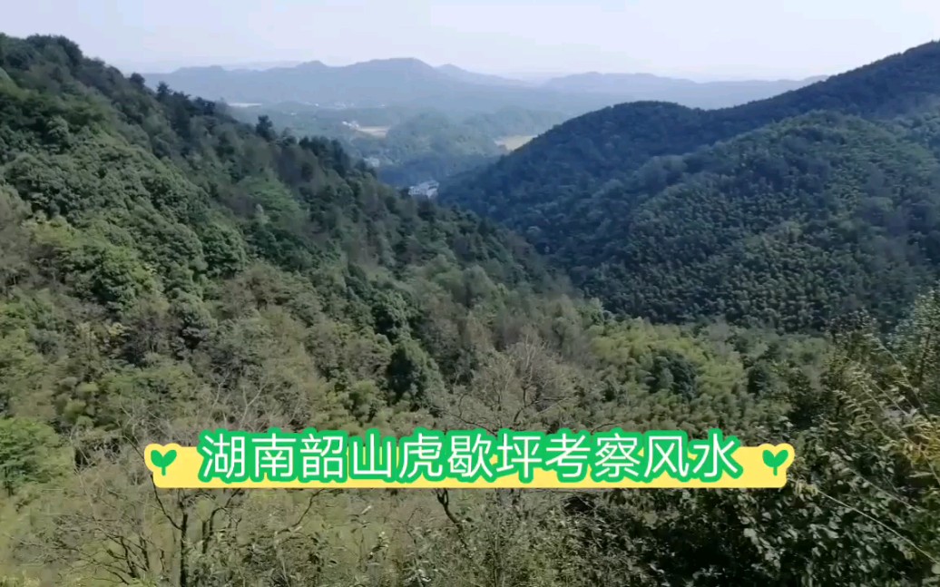 朱科顺湖南韶山虎歇坪考察风水白虎挂印龙带曜星