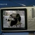 中国记忆：1985年的电视机品牌广告，看看家里有没有这样的回忆