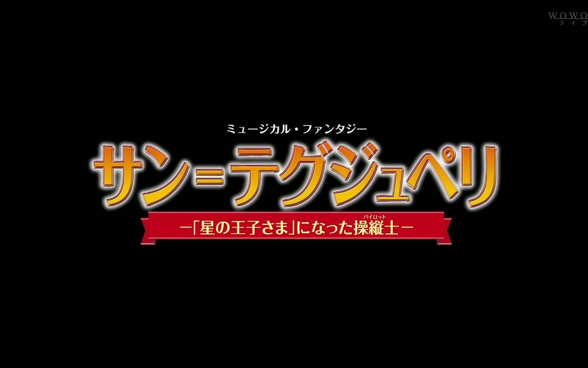 工場直送 花組 宝塚大劇場公演 ミュージカル ファンタジー サン