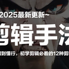 【剪辑手法100集】《技巧篇》少走99%的弯路！12集（全）从零开始学PR剪辑手法（2025新手入门实用版）PR2025零基础入门剪辑底层逻辑教程