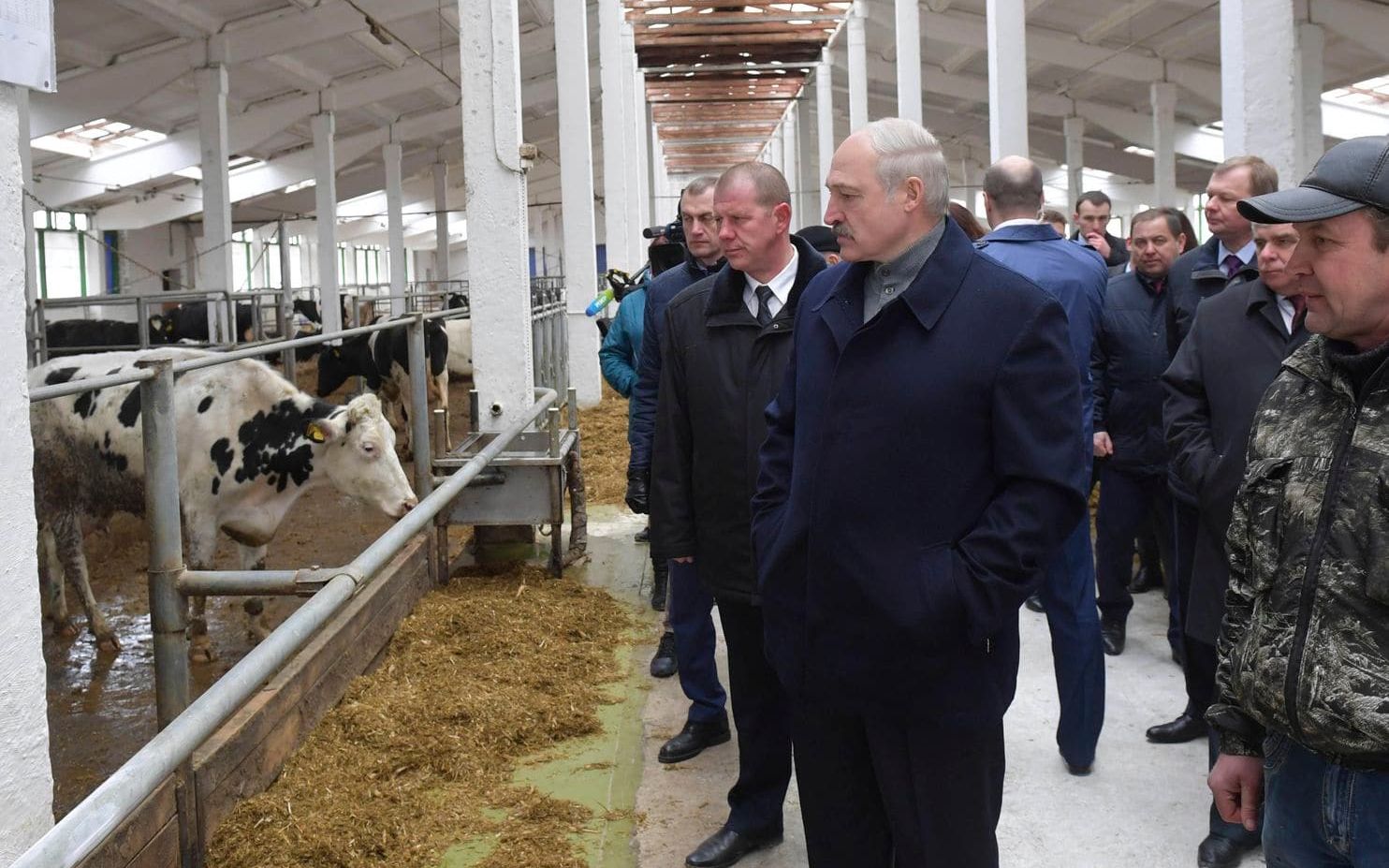 奶牛场变“集中营” 白俄罗斯总统当场发飙 摘掉州长乌纱帽