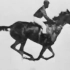 The horse in motion (Eadweard Muybridge) 1878 First Film