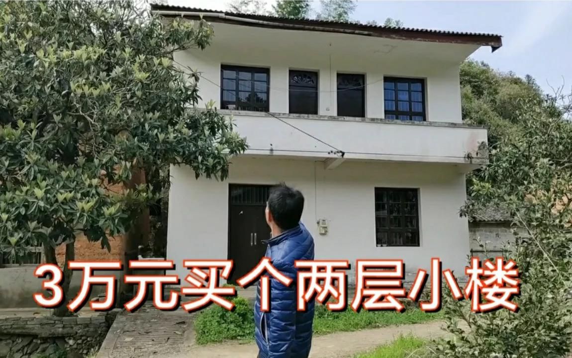 杭州老板花3万元买栋两层小楼，小溪门前过，养鸡种菜，太值了
