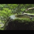 [4K] 且坐喫茶：京都 妙心寺大法院 Daiho-In The gardens of Kyoto