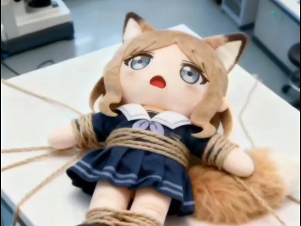 soyo狸们的受难日（含略）