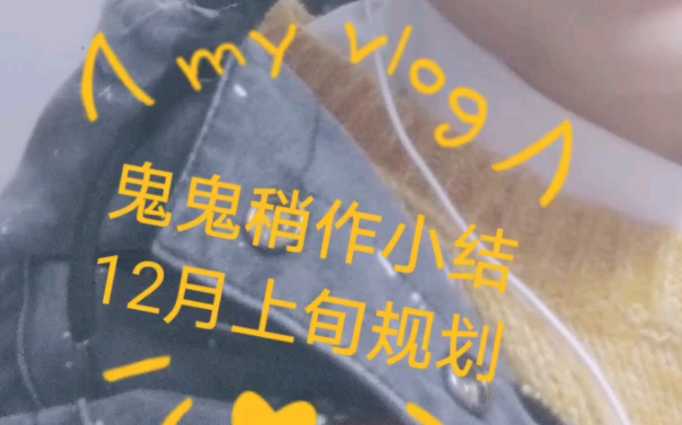 鬼鬼11月小结和12月上旬规划