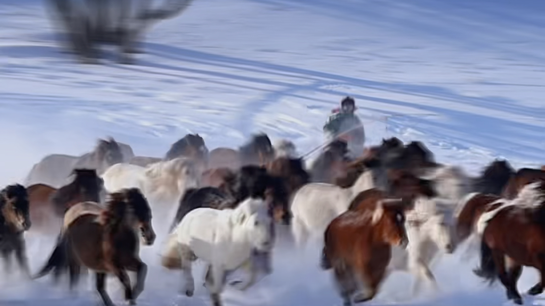 北国风光，千里飘雪，万马奔腾….#蒙古马