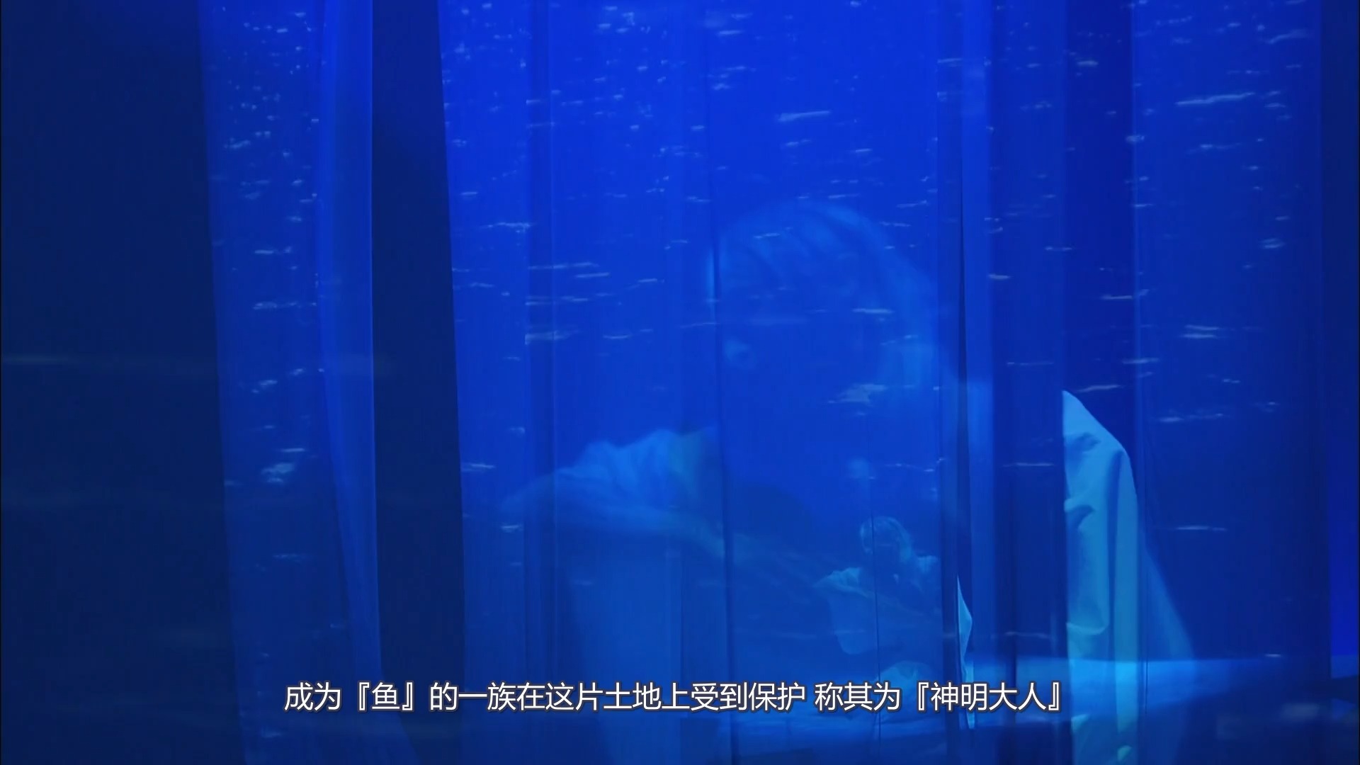 【个人字幕/流星篝火】"这是憧憬成为英雄的少年 和曾经是『神明』的少年 相遇的故事"1