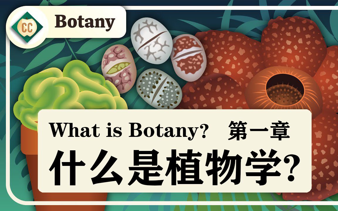 【十分钟速成课：植物学】第1集，什么是植物学?（中英字幕）Crash Course Botany 1